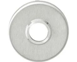 INTERSTEEL Rozet Rond Verdekt RVS Geborsteld, 2 Stuks