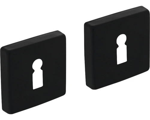 INTERSTEEL Rozet Vierkant Met Sleutelgat Zwart Mat, 2 Stuks 1 INTERSTEEL Rozet Vierkant Met Sleutelgat Zwart Mat, 2 Stuks