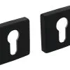 INTERSTEEL Rozet Vierkant Met Profielcilindergat Zwart Mat, 2 Stuks