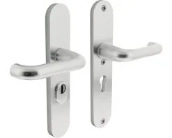 INTERSTEEL Veiligheidsbeslag Ovaal Kruk/kruk PC55 Anti-kerntrek Aluminium F1