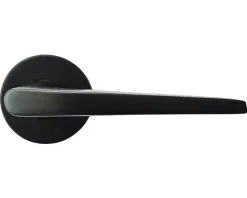 Deurkruk Paar Julia Op Rozet Zwart Mat