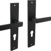 INTERSTEEL Deurkruk Paar Hera Op Schild Met Profielcilindergat PC72 Zwart Mat