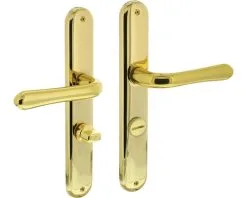 INTERSTEEL Deurkruk Paar Saturnus Op Schild Met WC-/badkamersluiting WC63/8 Messing Gelakt