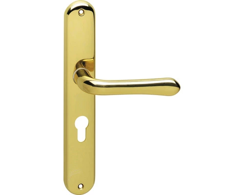 INTERSTEEL Deurkruk Paar Saturnus Op Schild Met Profielcilindergat PC55 Messing Gelakt 1 INTERSTEEL Deurkruk Paar Saturnus Op Schild Met Profielcilindergat PC55 Messing Gelakt