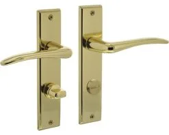 INTERSTEEL Deurkruk Paar Mars Op Schild Met WC-badkamersluiting WC63/8 Messing Gelakt