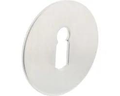 INTERSTEEL Rozet Rond Zelfklevend Met Sleutelgat RVS Geborsteld