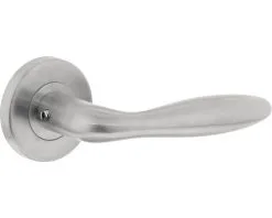 INTERSTEEL Deurkruk Paar Jupiter Op Rozet RVS Geborsteld