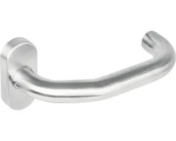 INTERSTEEL Deurkruk Paar Verkropt Op Ovaal Rozet RVS Geborsteld