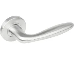 INTERSTEEL Deurkruk Paar Jupiter Op Rozet RVS Geborsteld