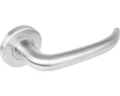 INTERSTEEL Deurkruk Paar Sabel Op Rozet RVS Geborsteld