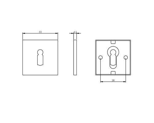 INTERSTEEL Rozet Vierkant Plat Met Sleutelgat RVS Geborsteld 2 INTERSTEEL Rozet Vierkant Plat Met Sleutelgat RVS Geborsteld - Afbeelding 2