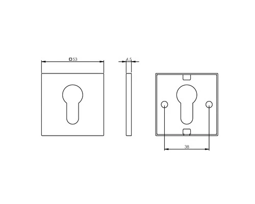 INTERSTEEL Rozet Vierkant Plat Met Profielcilindergat RVS Geborsteld 2 INTERSTEEL Rozet Vierkant Plat Met Profielcilindergat RVS Geborsteld - Afbeelding 2