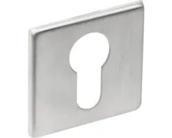 INTERSTEEL Rozet Vierkant Plat Met Profielcilindergat RVS Geborsteld