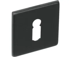 INTERSTEEL Rozet Vierkant Met Sleutelgat Zwart Mat