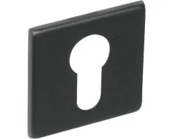 INTERSTEEL Rozet Vierkant Met Profielcilindergat Zwart Mat