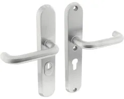 INTERSTEEL Veiligheidsbeslag Ovaal Kruk/kruk PC55 Anti-kerntrek RVS Geborsteld