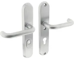 INTERSTEEL Veiligheidsbeslag Ovaal Kruk/kruk PC72 Anti-kerntrek RVS Geborsteld