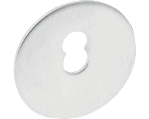 INTERSTEEL Drukverdeelrozet Voor Deurgrepen RVS Geborsteld, Ø 40 Mm 1 INTERSTEEL Drukverdeelrozet Voor Deurgrepen RVS Geborsteld, Ø 40 Mm