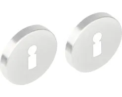 INTERSTEEL Rozet Rond Met Sleutelgat RVS Geborsteld