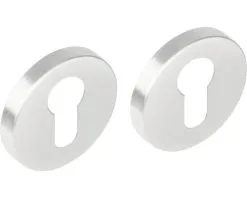 INTERSTEEL Rozet Rond Met Profielcilindergat RVS Geborsteld