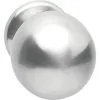 INTERSTEEL Voordeurknop Bol Ø 75/66 Mm Eenzijdige Montage RVS Geborsteld