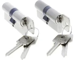 STARX Dubbele Profielcilinder 30-30 Messing Vernikkeld, 2 Stuks