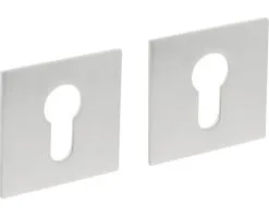 INTERSTEEL Rozet Vierkant Magneet Met Profielcilindergat RVS Geborsteld, 2 Stuks