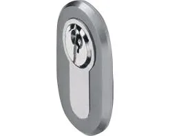 PERTURA 1000 Rozet Ovaal Met Profielcilindergat RVS