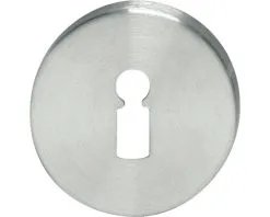 INTERSTEEL Rozet Rond Verdekt Met Sleutelgat RVS Geborsteld