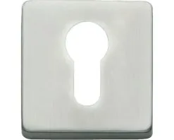 INTERSTEEL Rozet Vierkant Met Profielcilindergat RVS Geborsteld