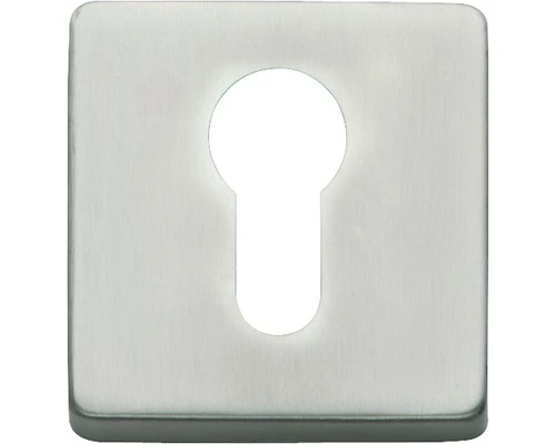 INTERSTEEL Rozet Vierkant Met Profielcilindergat RVS Geborsteld 1 INTERSTEEL Rozet Vierkant Met Profielcilindergat RVS Geborsteld