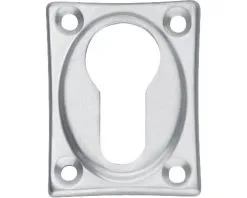 INTERSTEEL Rozet Vierkant Met Profielcilindergat Chroom Mat