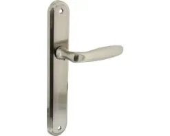 INTERSTEEL Deurkruk Paar Bjorn Op Blindschild Nikkel Mat