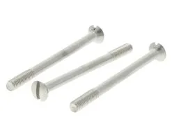 AMI Schroef Met Lenskop RVS M6 X 70 Mm Voor Veiligheidsbeslag